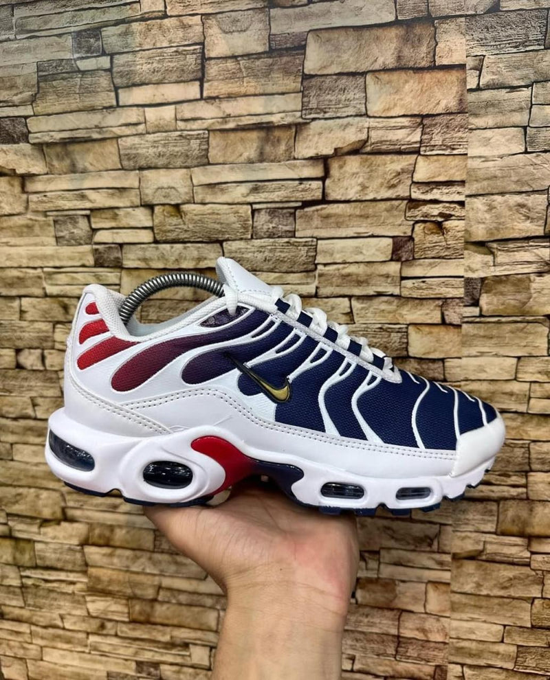 Nike Tn Importado