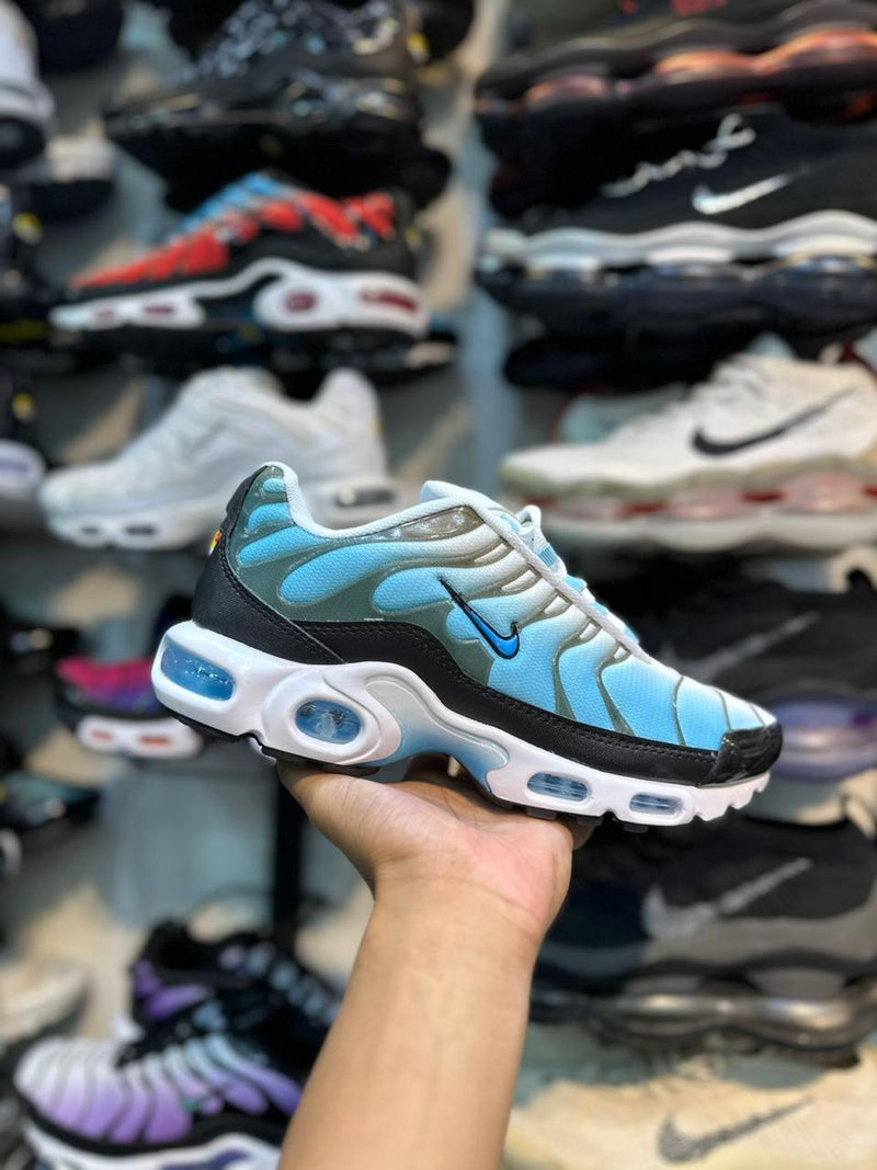 Nike Tn Importado